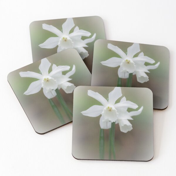 Item preview, White Daffodil designed and sold by heidipics.