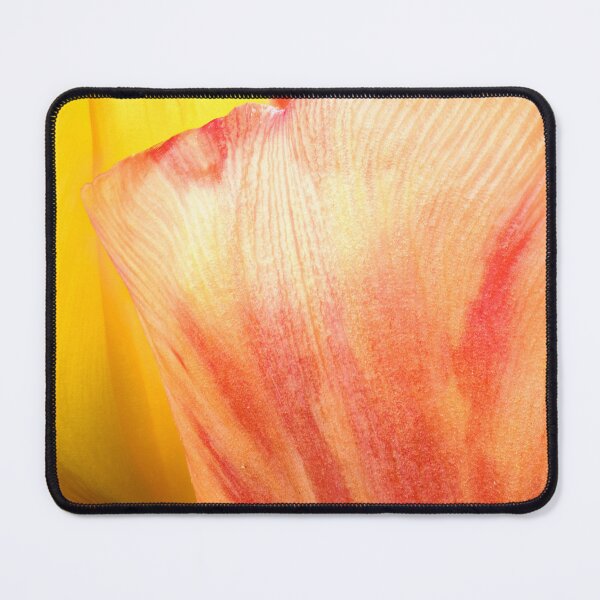 Item preview, closeup of two tulips designed and sold by FotoMahieu.