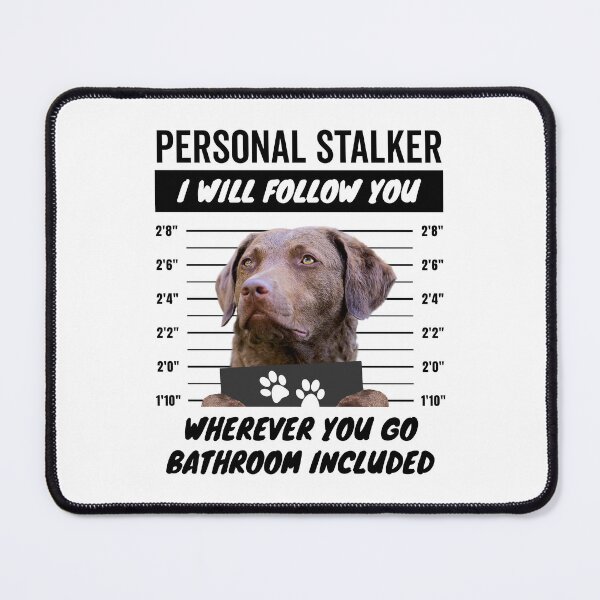 Item preview, Personal Stalker Dog – Chesapeake Bay Retriever designed and sold by More Cute Dogs.