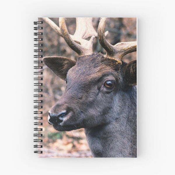 Item preview, Fallow deer designed and sold by IvonDesign.