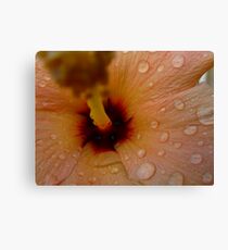 Flower Canvas Print