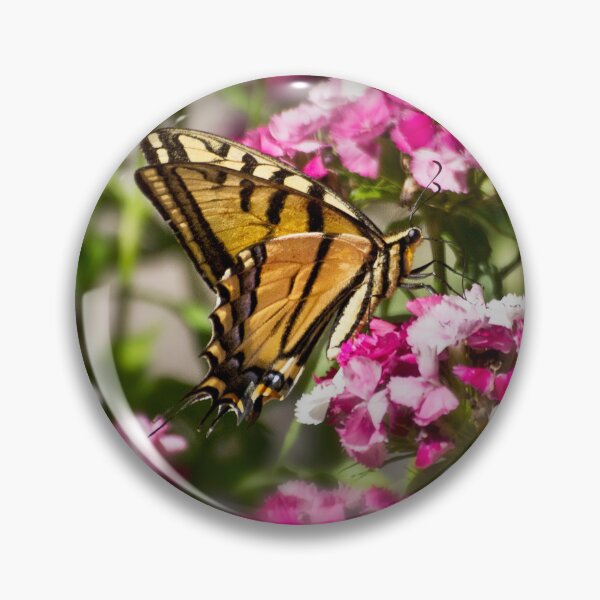 Item preview, Swallowtail on Sweet Williams designed and sold by Kathy Weaver.