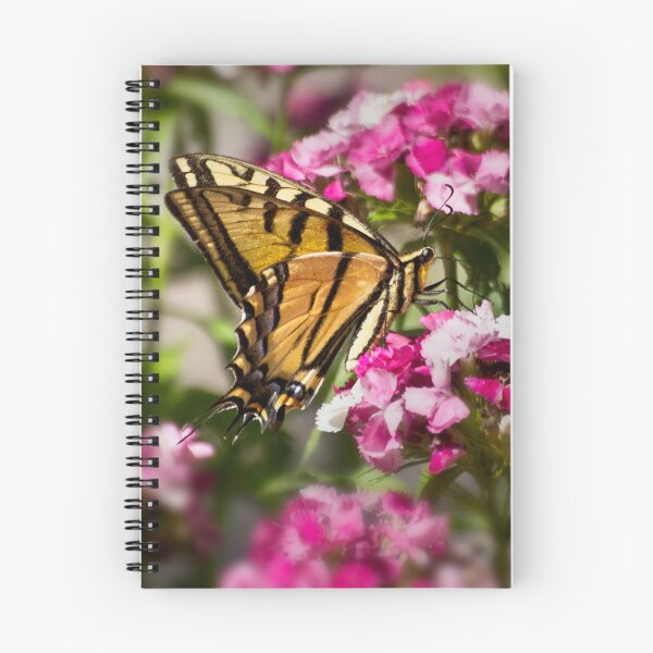 Item preview, Swallowtail on Sweet Williams designed and sold by Kathy Weaver.