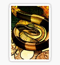 Banded Krait Sticker