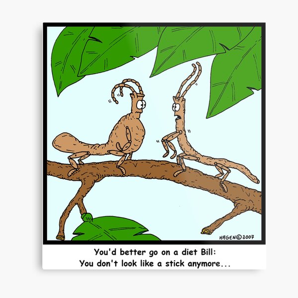 Diet Metal Print