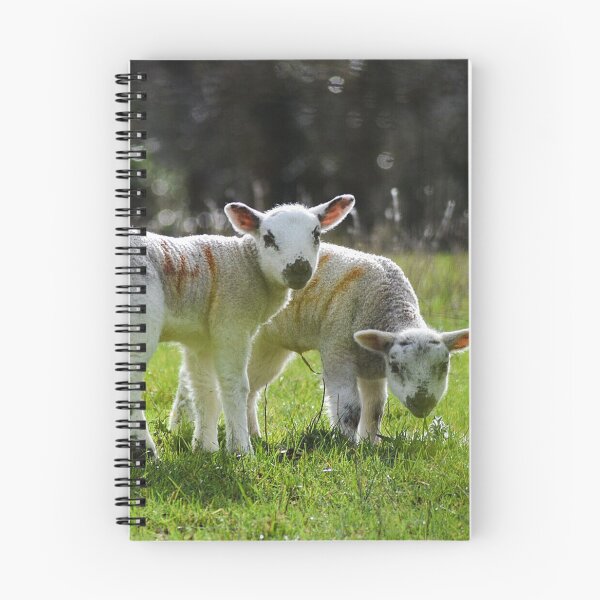Item preview, Spring Lambs (MKW-N1) designed and sold by Katrina Morgan.
