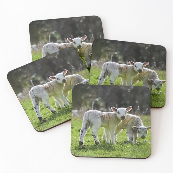 Item preview, Spring Lambs (MKW-N1) designed and sold by Katrina Morgan.