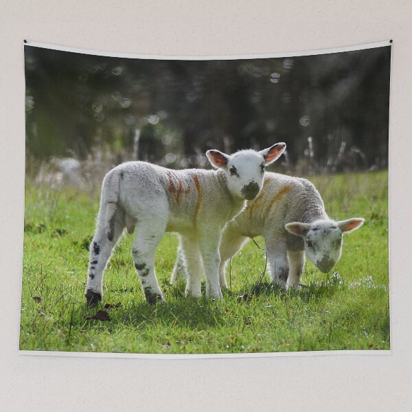 Item preview, Spring Lambs (MKW-N1) designed and sold by Katrina Morgan.