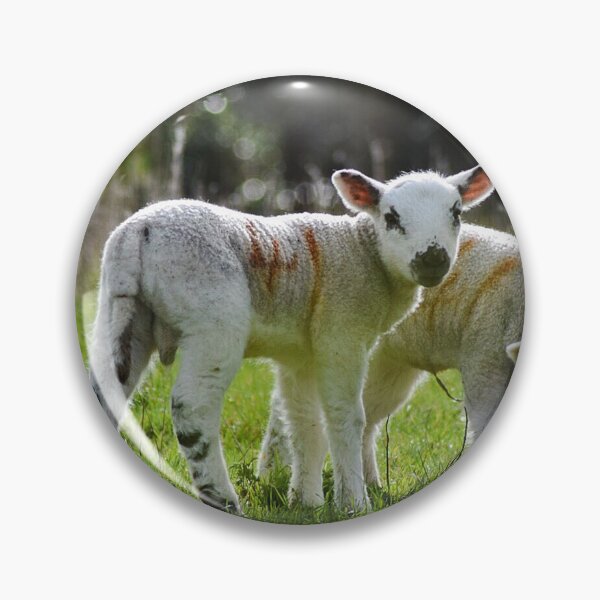 Item preview, Spring Lambs (MKW-N1) designed and sold by Katrina Morgan.