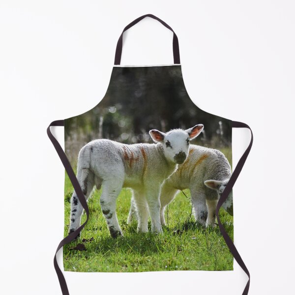 Item preview, Spring Lambs (MKW-N1) designed and sold by Katrina Morgan.