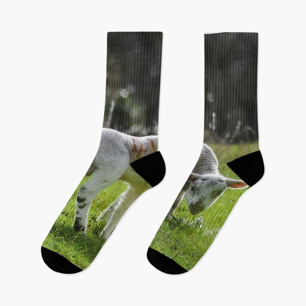 Item preview, Spring Lambs (MKW-N1) designed and sold by Katrina Morgan.