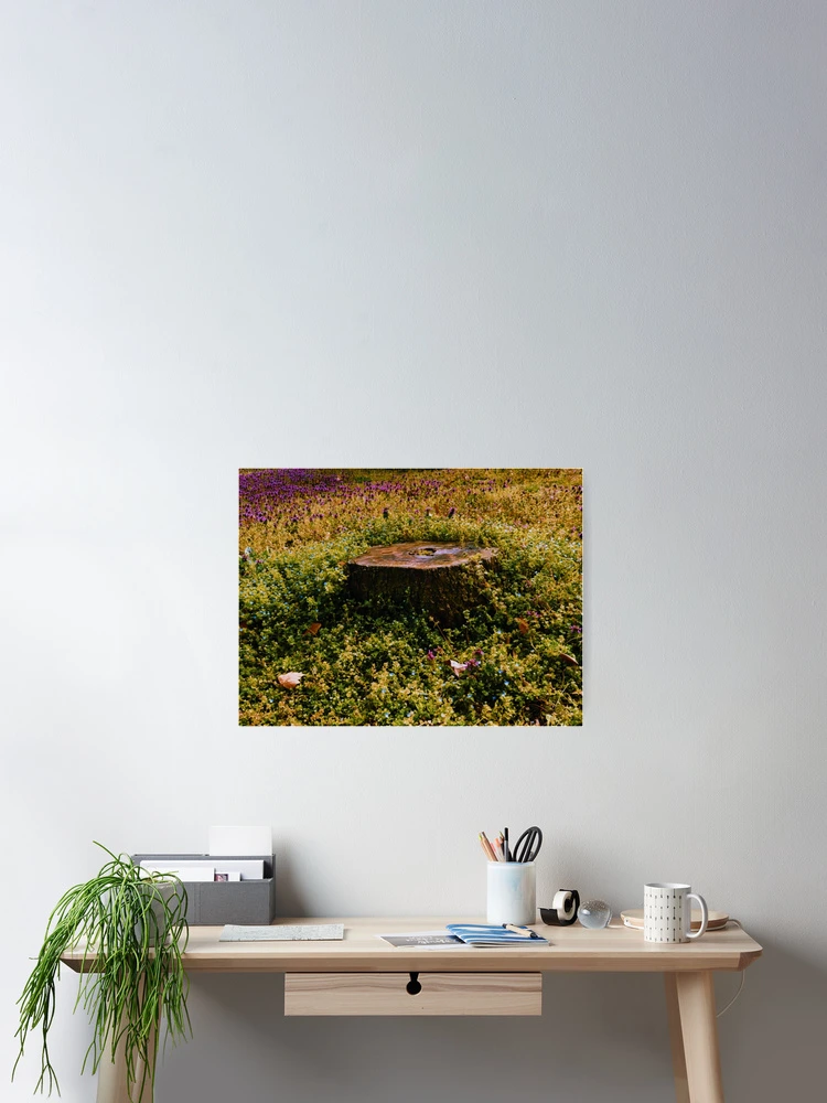 Thumbnail 2 of 3, Poster, Spring In Infancy designed and sold by Melanie Uadjit.