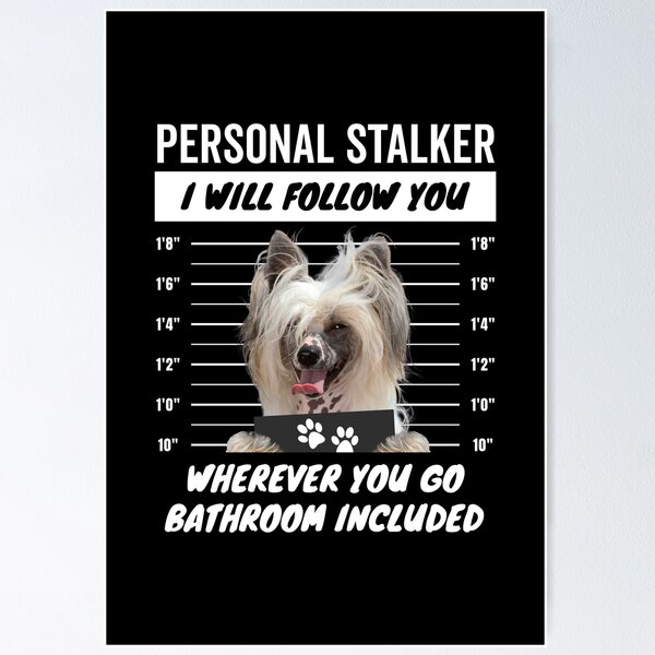 Item preview, Personal Stalker Dog – Cream Chinese Crested designed and sold by More Cute Dogs.