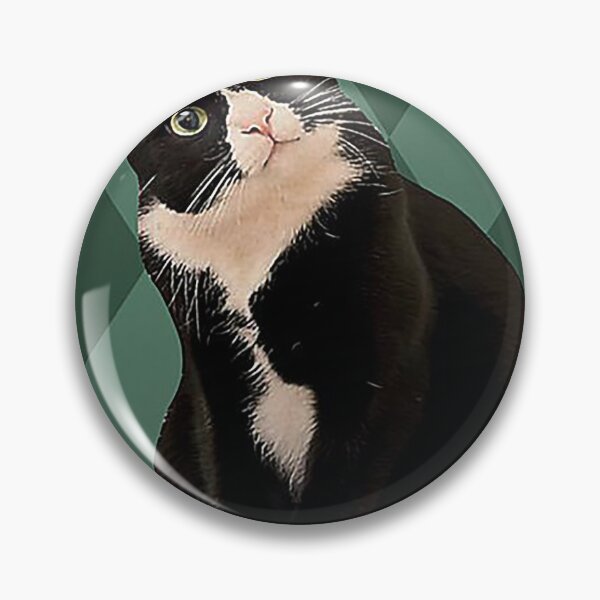 Item preview, Time spent with books and cats is never wasted  designed and sold by TeganCrafford.
