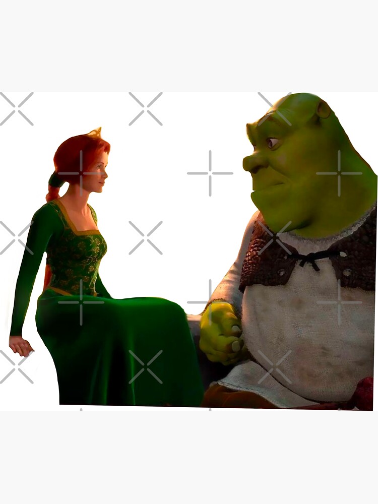 Deguisement shrek et fiona - Cdiscount