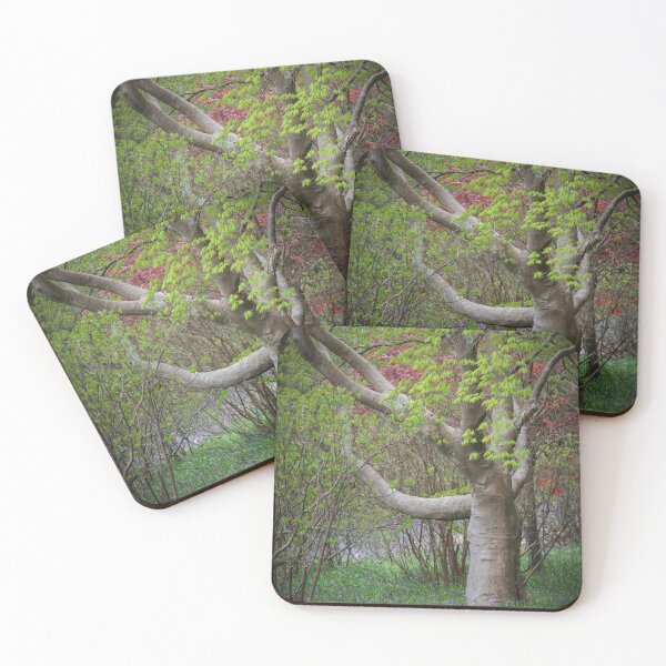 Item preview, Bluebells Beneath the Mysterious Tree designed and sold by heidipics.