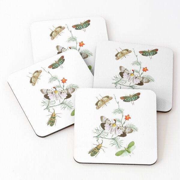 Item preview, Oriental Entomology designed and sold by The Happy Plot.