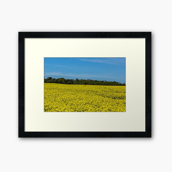 And it was all yellow Framed Art Print