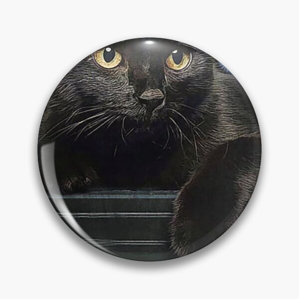 Item preview, Time spent with cats and piano is never wasted designed and sold by TeganCrafford.