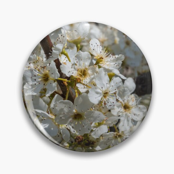 Artikelvorschau, Bradford Blooms entworfen und verkauft von mljdwhite.