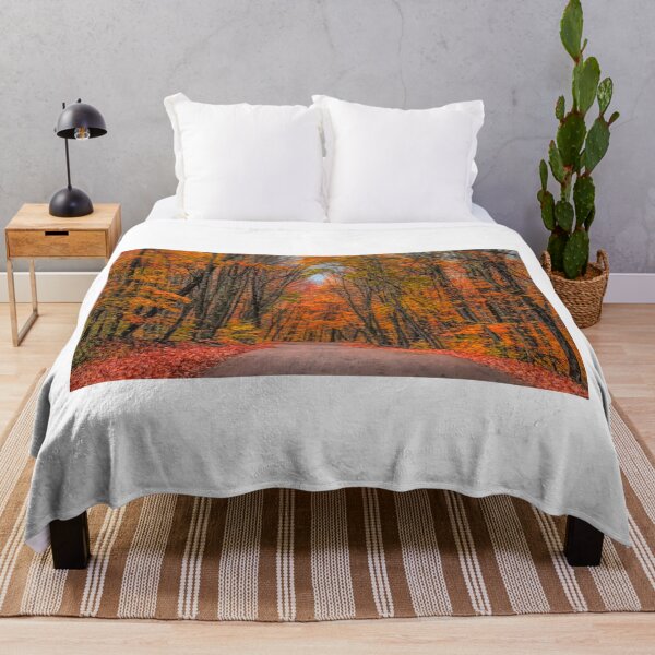 Item preview, Along a country road in Algonquin Park designed and sold by James Cumming.