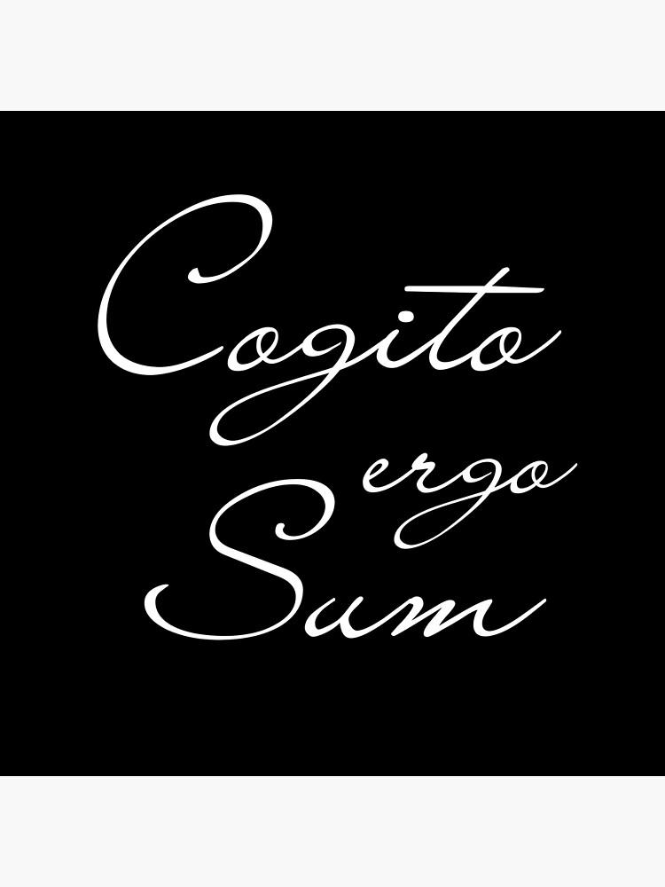 Cogito Ergo Sum Poster For Sale By Catoo666 Redbubble