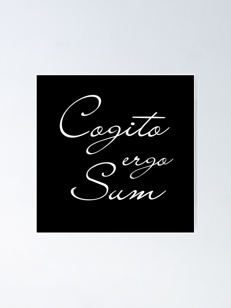 Cogito Ergo Sum Poster For Sale By Catoo666 Redbubble