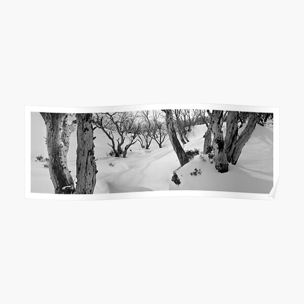 Bogong Creek Poster