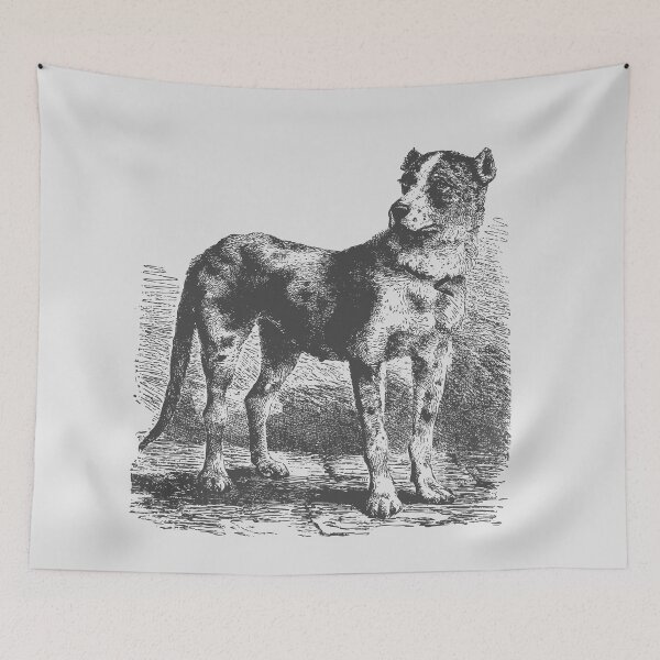 Item preview, vintage dog illustrations for your pet projects biology publications designed and sold by I'm  Redz.
