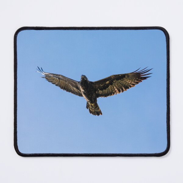 Item preview, Golden Eagle Fly By designed and sold by PsychoAlien.com.