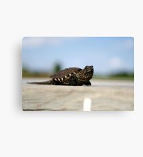 Little Spike Canvas Print