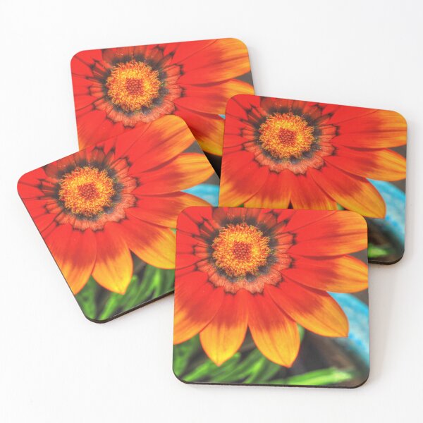 Artikelvorschau, Gazania Glow Smile African Daisy Treasure 2022 entworfen und verkauft von OBTImaging.