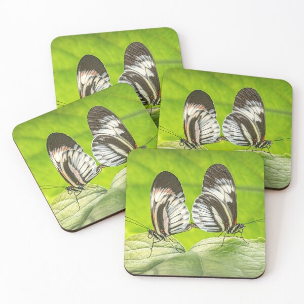 Item preview, Heliconius Butterflies Mating designed and sold by Tony North.