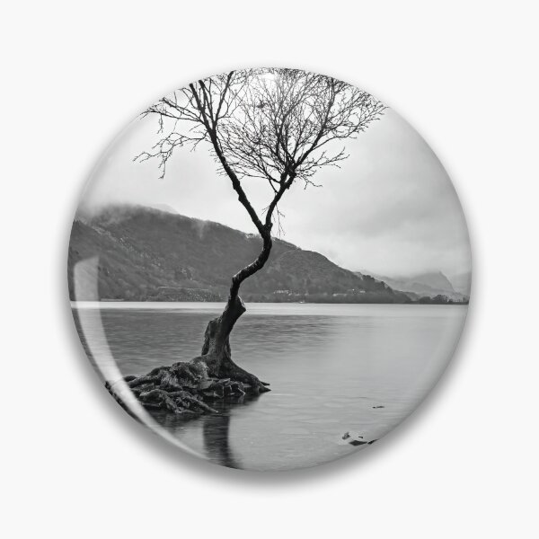 Item preview, Lone Tree at Llyn Padarn designed and sold by Tony North.