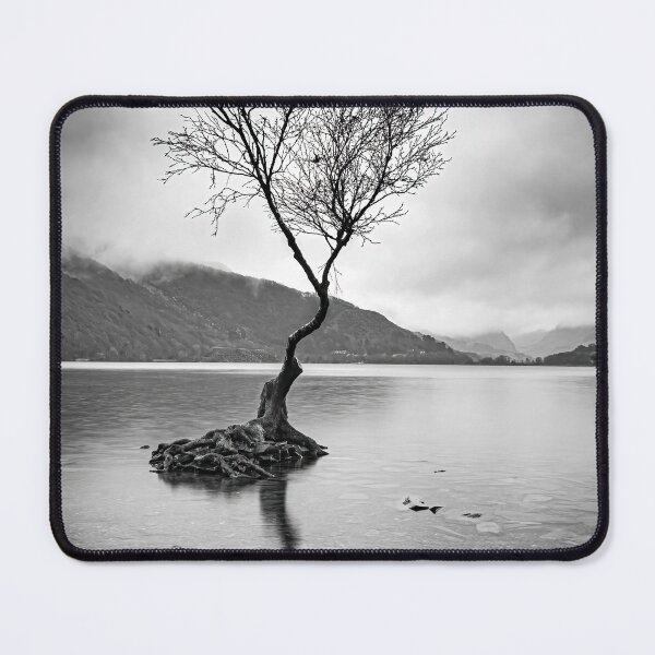 Item preview, Lone Tree at Llyn Padarn designed and sold by Tony North.