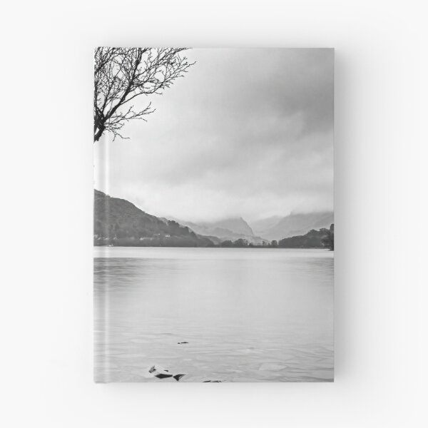 Item preview, Lone Tree at Llyn Padarn designed and sold by Tony North.