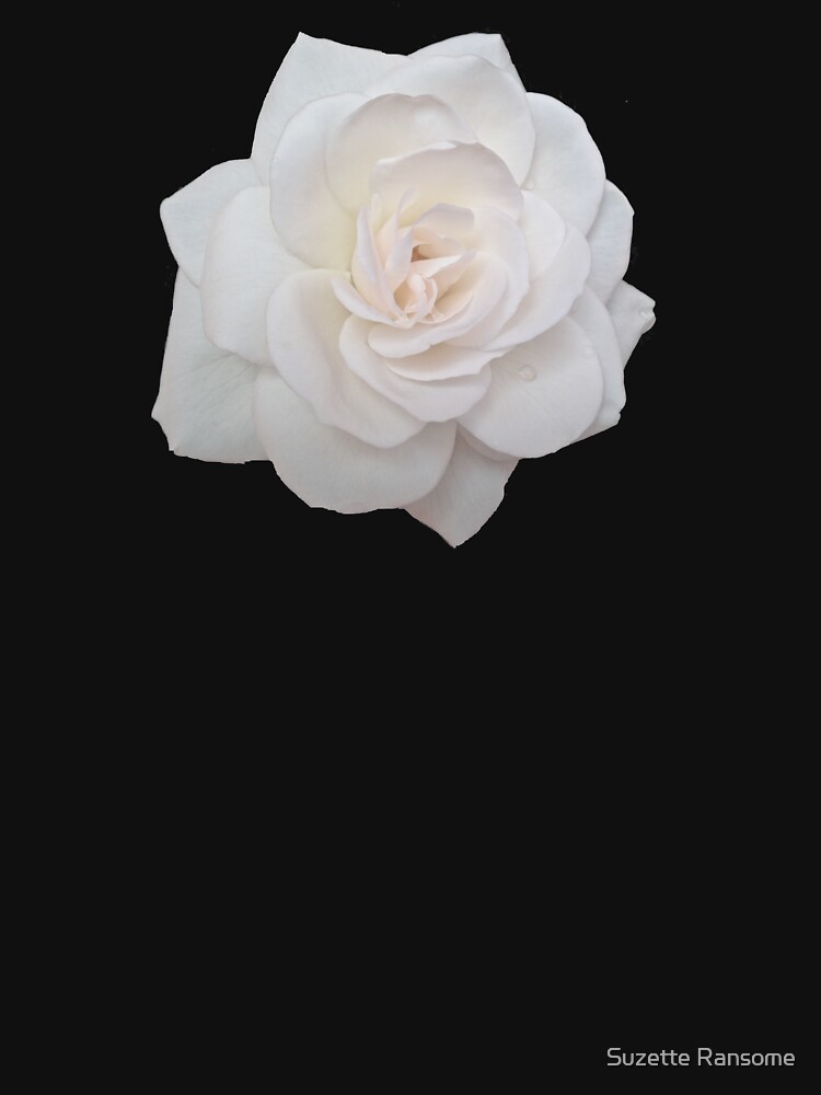 Elegant White Rose by suzetteransome