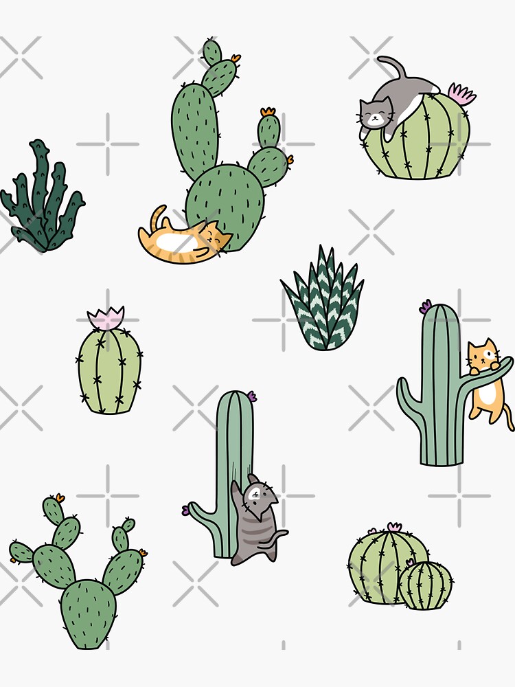 Cacti Cats by Shopzoki