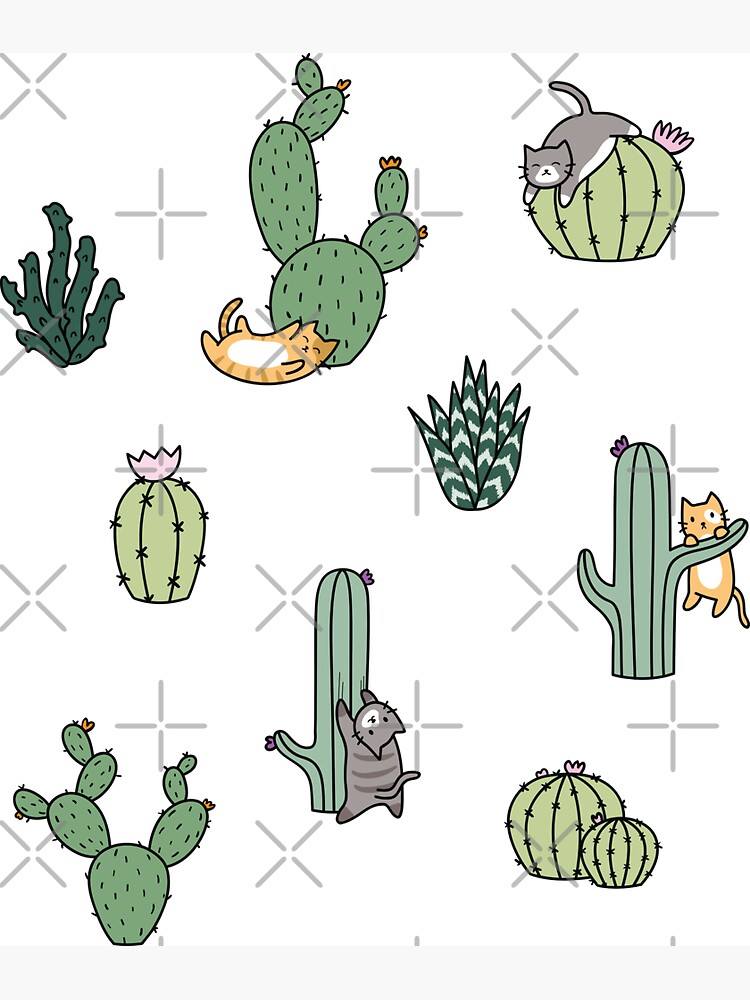 Cacti Cats by Shopzoki