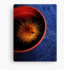 spike Canvas Print