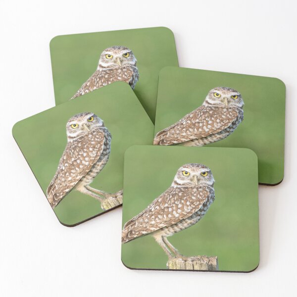 Item preview, Burrowing Owl designed and sold by Tony North.