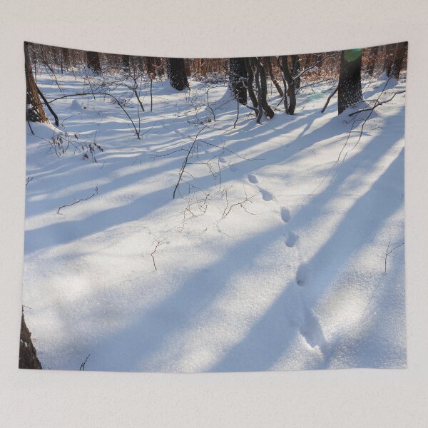 Item preview, Steps in the snow designed and sold by viknitov.