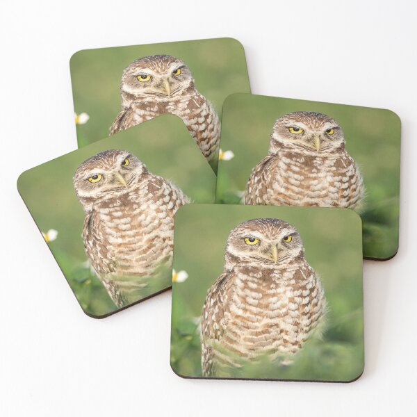 Item preview, Burrowing Owl designed and sold by Tony North.