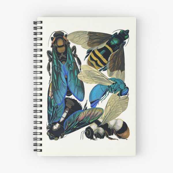 Item preview, Colorful Bees and Other Pollinators by E. A. Seguy designed and sold by TheCurators.