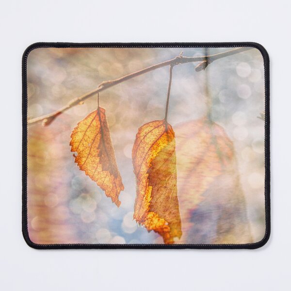 Item preview, An old leaf 2 designed and sold by Veikko  Suikkanen.