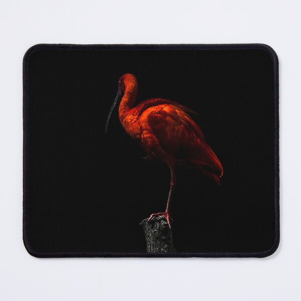 Item preview, scarlet ibis designed and sold by Davamandine.
