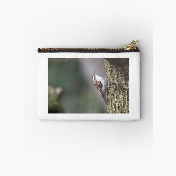 Item preview, Treecreeper (Certhia familiaris) designed and sold by Chris Monks.