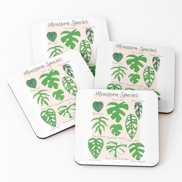Item preview, Monstera Species in Gouache- Coral designed and sold by paintedpansy.