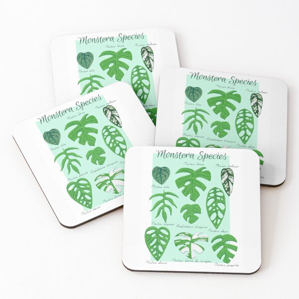 Item preview, Monstera Species in Gouache- Mint designed and sold by paintedpansy.