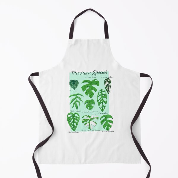 Item preview, Monstera Species in Gouache- Mint designed and sold by paintedpansy.